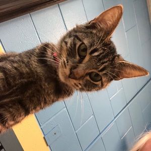 Meet your Posher, Brianna